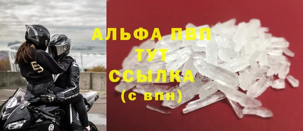 ГАЛЛЮЦИНОГЕННЫЕ ГРИБЫ Карталы