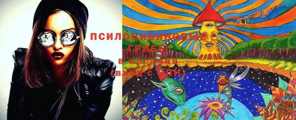твердый Касимов