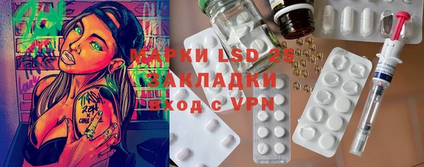 ГАЛЛЮЦИНОГЕННЫЕ ГРИБЫ Карталы
