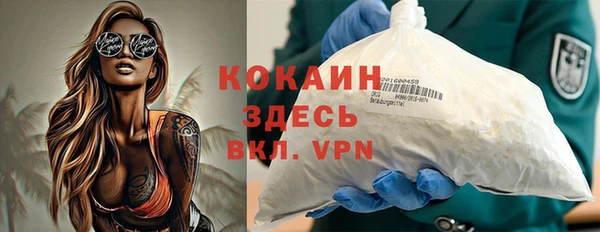 твердый Касимов