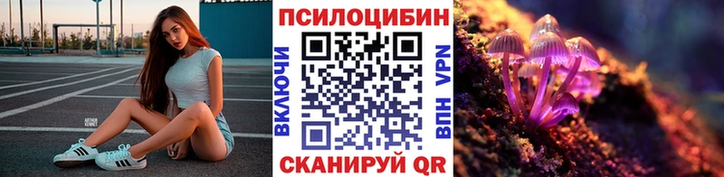Галлюциногенные грибы Psilocybe  Купить где  Себеж 